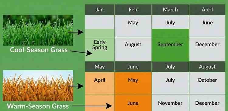 Best months for growing Grass