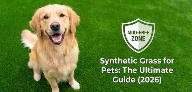 Synthetic Grass for Pets: The Ultimate Mud-Free Guide (2026)