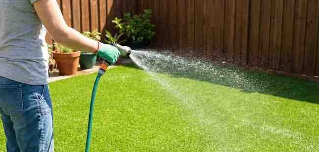 Cleaning synthetic grass with an enzymatic cleaner to remove dog odors.